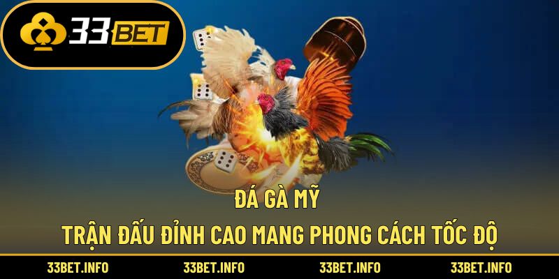 Đá Gà Mỹ – Trận Đấu Đỉnh Cao Mang Phong Cách Tốc Độ