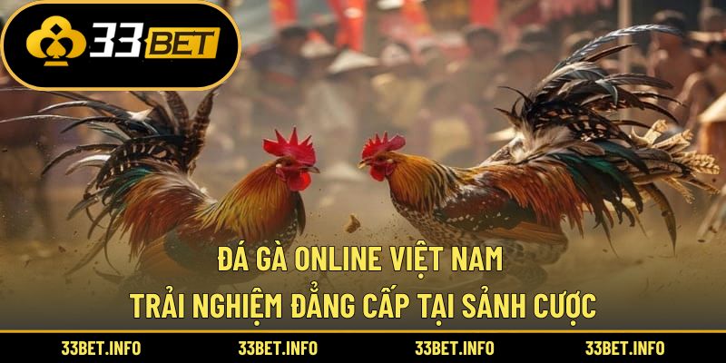 Đá Gà Online Việt Nam – Trải Nghiệm Đẳng Cấp Tại Sảnh Cược