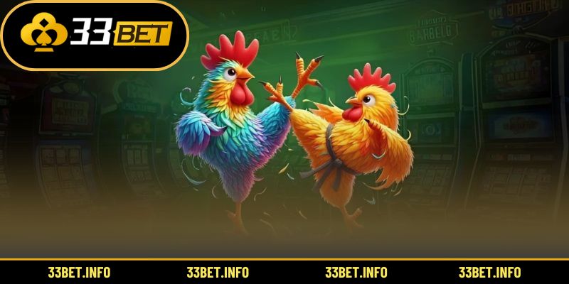 Hướng dẫn chi tiết quy trình cược đá gà Mỹ