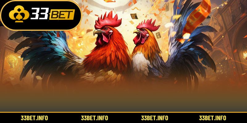 Những ưu điểm nổi bật của hình thức đá gà Mỹ